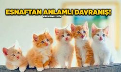 Zonguldaklı esnaftan anlamlı davranış