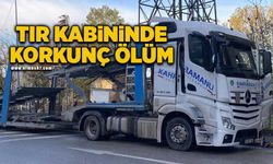 Tır kabininde korkunç ölüm