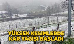 Yüksek kesimlerde kar yağışı başladı