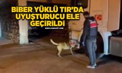 Biber yüklü TIR'da uyuşturucu ele geçirildi: 1 gözaltı