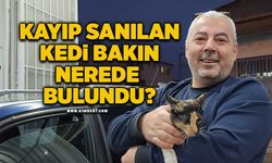 Kaybolduğunu sandığı kedisi 'Leydi', otomobilin kaputunun altından çıktı