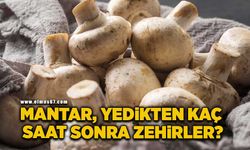 Mantar yedikten kaç saat sonra zehirler?