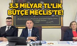 3.3 milyar TL’lik bütçe meclis'te