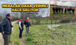 Zonguldak'ta meralar daha verimli hale geliyor