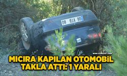 Mıcıra kapılan otomobil takla attı: 1 yaralı