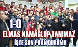 Elmas namağlup tanımıyor: son puan durumu