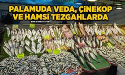 Palamuda veda, çinekop ve hamsi tezgahlarda