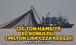 120 ton hamsiye el konuldu, tekneye 1 milyon lira ceza kesildi!