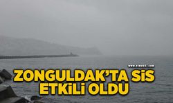 Zonguldak'ta sis etkili oldu