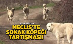 İl Genel Meclisi'nde sokak köpeği tartışması