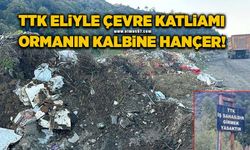 TTK eliyle çevre katliamı… Ormanın kalbine hançer!