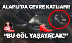 Alaplı'da çevre katliamı! "Bu göl yaşayacak!"