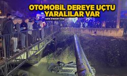 Kontrolden çıkan otomobil dereye uçtu: 3 yaralı