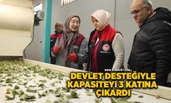 Devletten aldığı destek işletme kapasitesi 3 katına çıktı