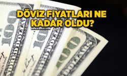 Serbest piyasada döviz fiyatları