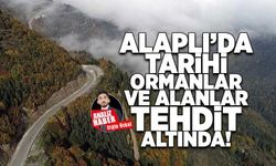 Alaplı'da tarihi ormanlar ve alanlar tehdit altında!