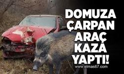 Domuza çarpan araç kaza yaptı!