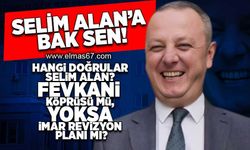 Hangi doğrular  Selim Alan?