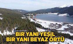 Bir yanı yeşil, bir yanı beyaz örtü