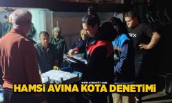 Hamsi avına kota denetimi