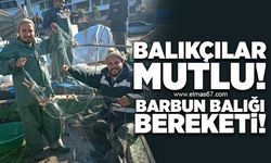 Zonguldak’ta barbun balığı bereketi