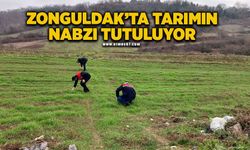 Zonguldak’ta tarımın nabzı tutuluyor