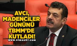 Avcı, madenciler gününü TBMM'de kutladı!