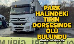 Park halindeki tırın dorsesinde ölü bulundu