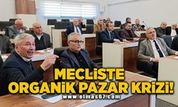 Mecliste organik pazar krizi!