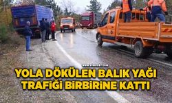 Yola dökülen balık yağı trafiği birbirine kattı