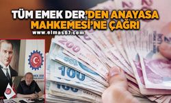 TÜM EMEK DER'den Anayasa Mahkemesi’ne çağrı!