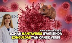 Hantavirüs virüsünün temel kaynağı are, sıçan ve hamster gibi kemiriciler