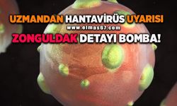 Uzmandan hantavirüs uyarısı: "Küresel salgın riski düşük ancak korunma önlemleri önemli"