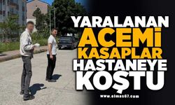 Yaralanan acemi kasaplar hastaneye koştu