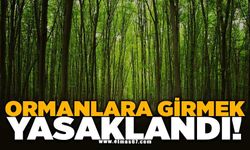 Ormanlara girmek yasaklandı