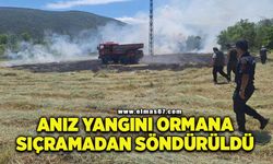 Anız yangını ormana sıçramadan söndürüldü