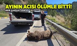 Tünelde başlayan yaşam mücadelesi çayda son buldu