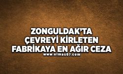 Zonguldak'ta çevreyi kirleten fabrikaya en ağır ceza