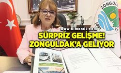 Zonguldak ile Almanya Arasında Sürpriz Gelişme! Meclisten Geçti, Zonguldak'a Geliyor...