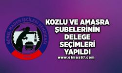 Kozlu ve Amasra Şubelerinin Delege Seçimleri Yapıldı