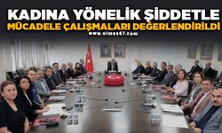 Kadına yönelik şiddetle mücadele çalışmaları değerlendirildi