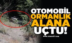 Ormanlık alana uçan otomobildeki 3 kişi yaralandı