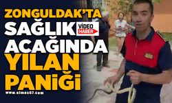 Sağlık ocağında yılan paniği