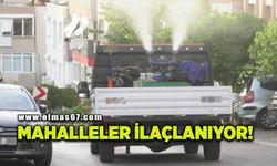 Mahalleler sineklere karşı ilaçlanıyor