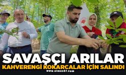Savaşçı arılar kahverengi kokarcalar için salındı