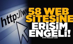 58 web sitesine erişim engeli