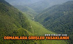 Ormanlara girişler yasaklandı