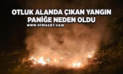 Otluk alanda yangın paniği