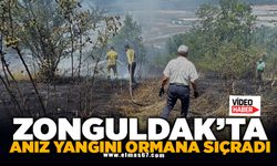 Anız yangını kontrolden çıkıp ormana sıçradı