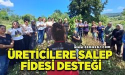 Kadın üreticilere 7 bin salep fidesi desteği
